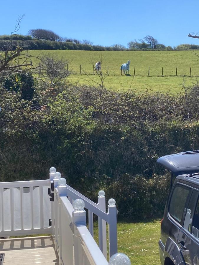 Molly's Retreat: Pet-Friendly Caravan with Garden at Newquay Bay Resort Exterior photo